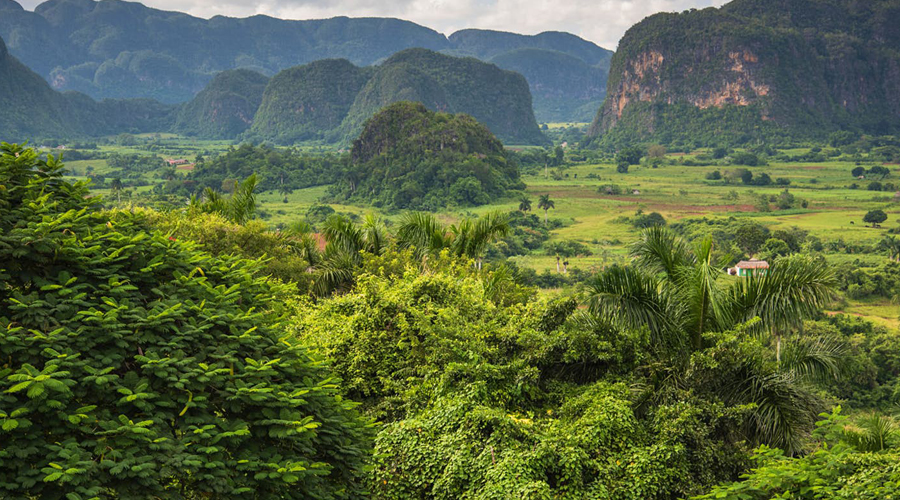 cuba libre travel agency